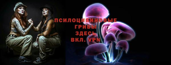 СК Богородск