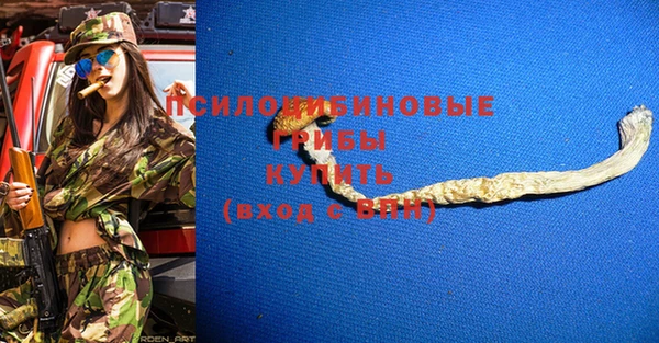тгк Богородицк