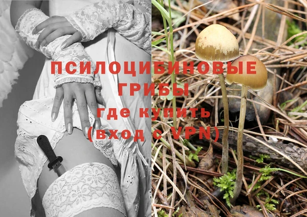 тгк Богородицк