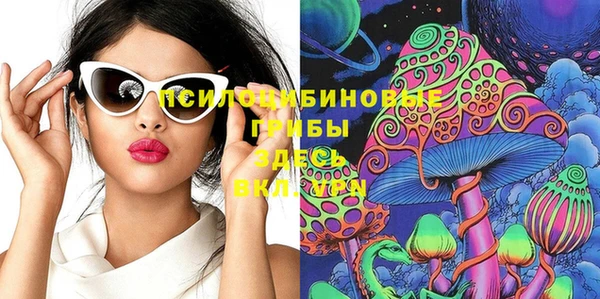 тгк Богородицк